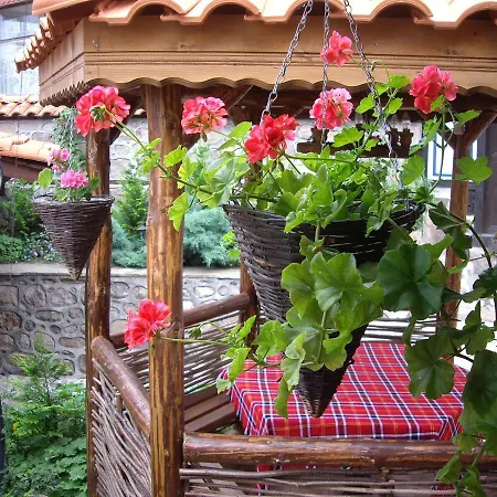 Popsokol House *